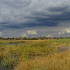 Die Landschaft im Norden Namibias