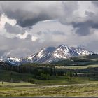 Die Landschaft im Yellowstone