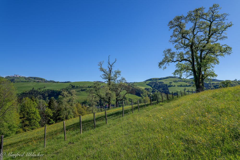 Die Landschaft in Höchstform ...