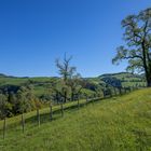 Die Landschaft in Höchstform ...