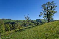 Die Landschaft in Höchstform ...