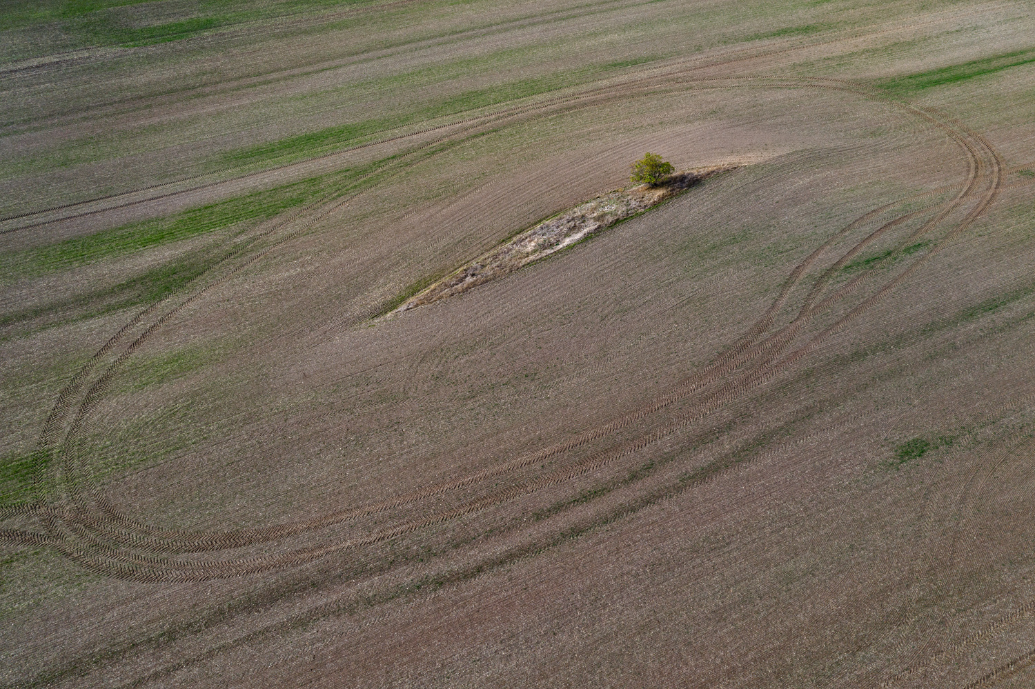 DIE Landschaft ist eindeutig weiblich...