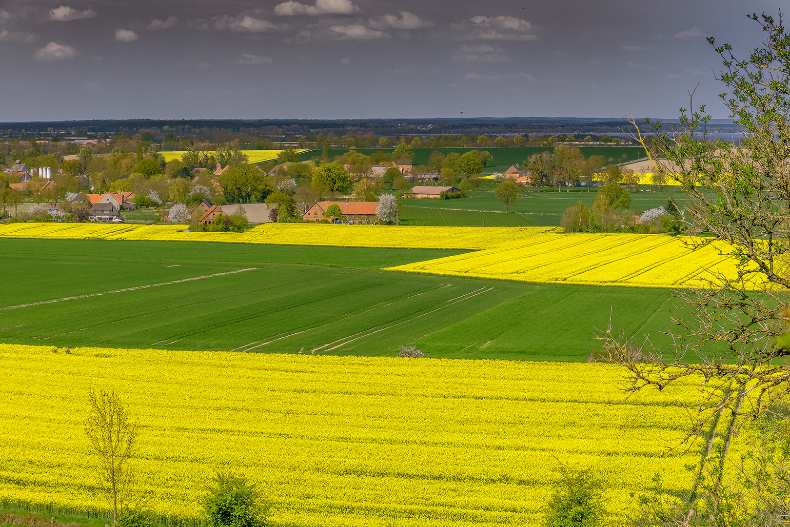 Die Landschaft ist gelb geworden