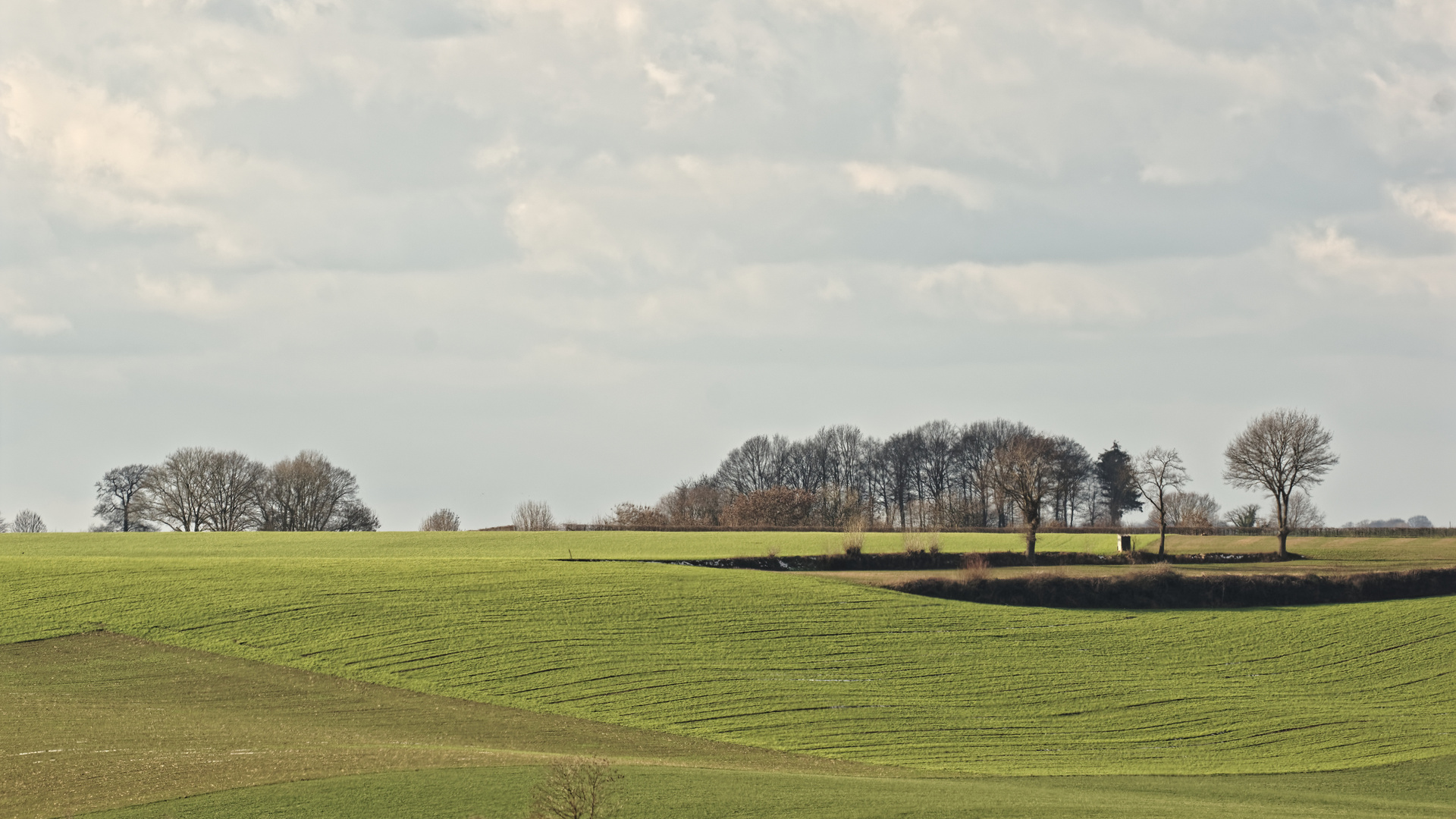 Die Landschaft mit Schwung