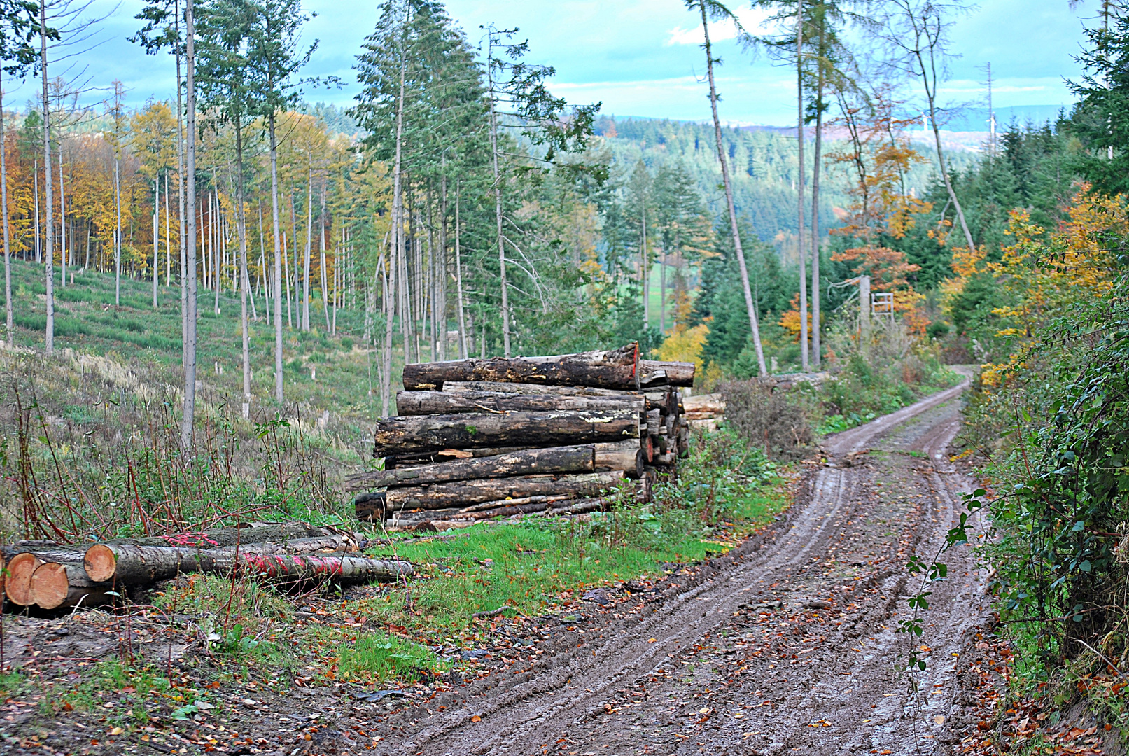 die Landschaft ruht so still...