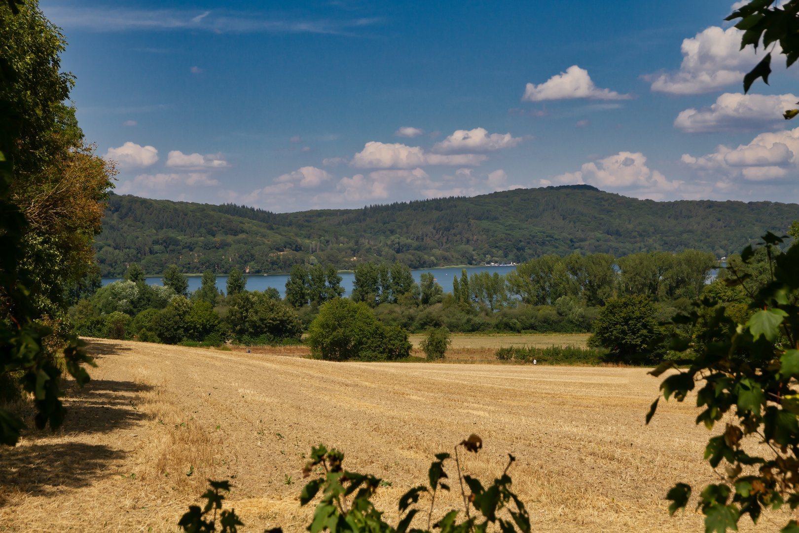 Die Landschaft rund um dem Laacher See