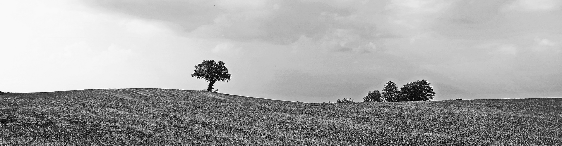 Die Landschaft sanft geschwungen, der Himmel rauh und wüst...