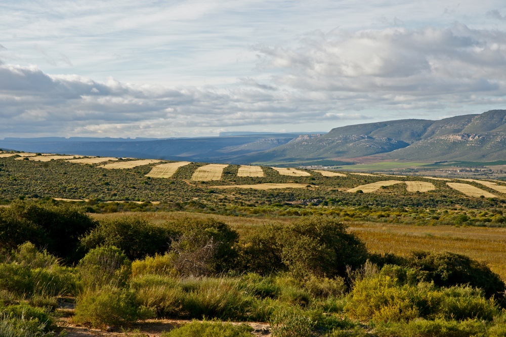 Die Landschaft um Clanwilliam (1)