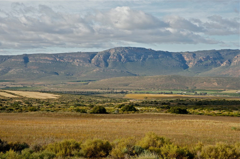 Die Landschaft um Clanwilliam (2)