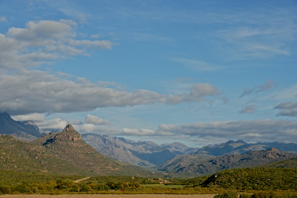 Die Landschaft um Clanwilliam (4)