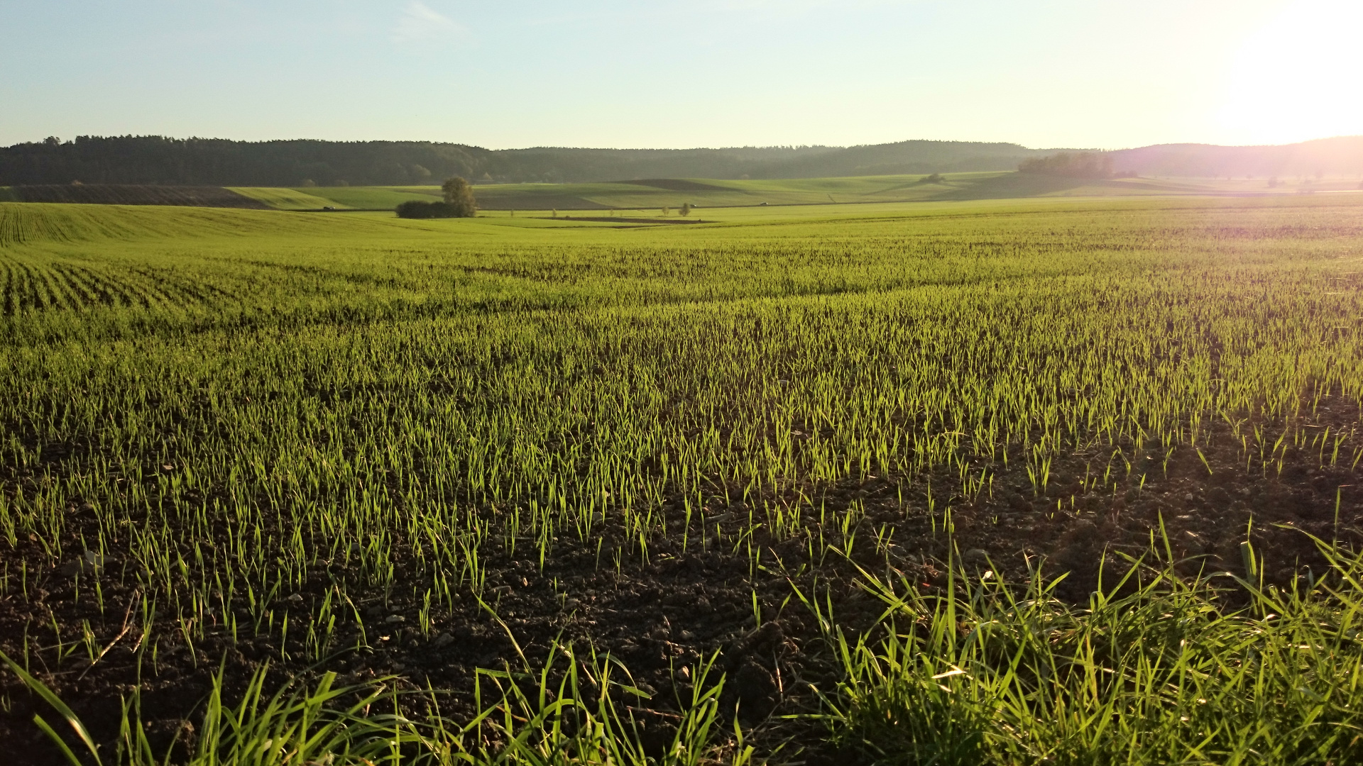 Die Landschaft vor der Haustür