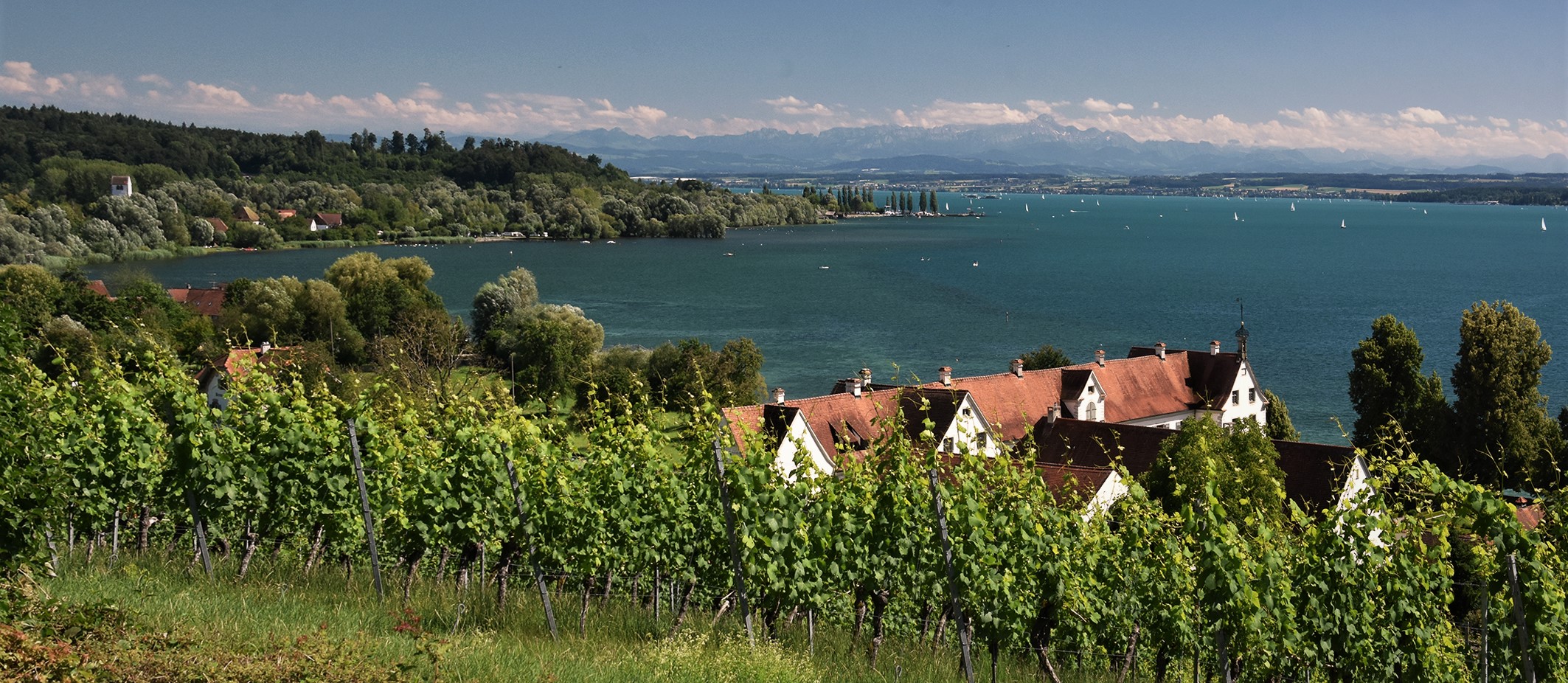 Die Landschaften am Bodensee...