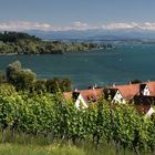 Die Landschaften am Bodensee...