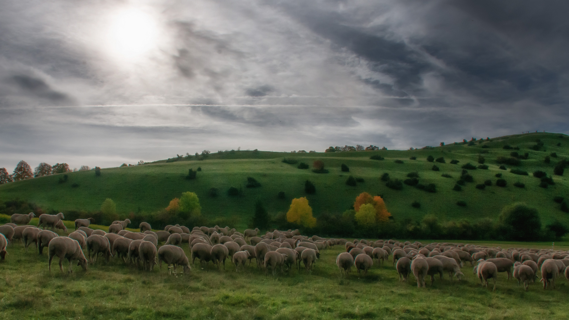 Die Landschaftspfleger 