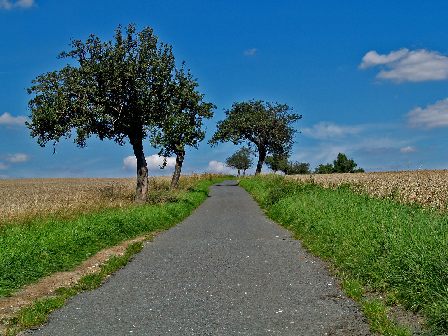 die landstraße