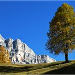 Die lange Mauer um den Heiligkreuz-Kofel