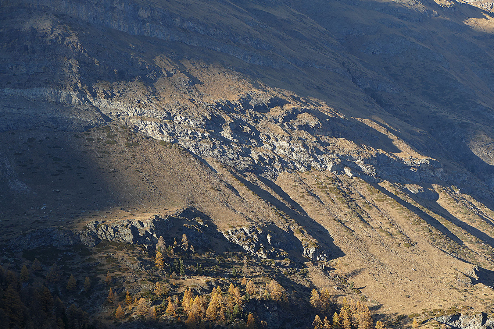 Die langen herbstlichen Schatten