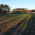 Die langen Januar-Schatten