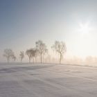 Die langen Schatten