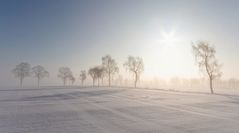 Die langen Schatten