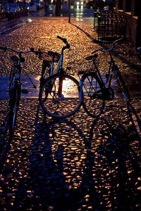 Die langen Schatten der Nacht