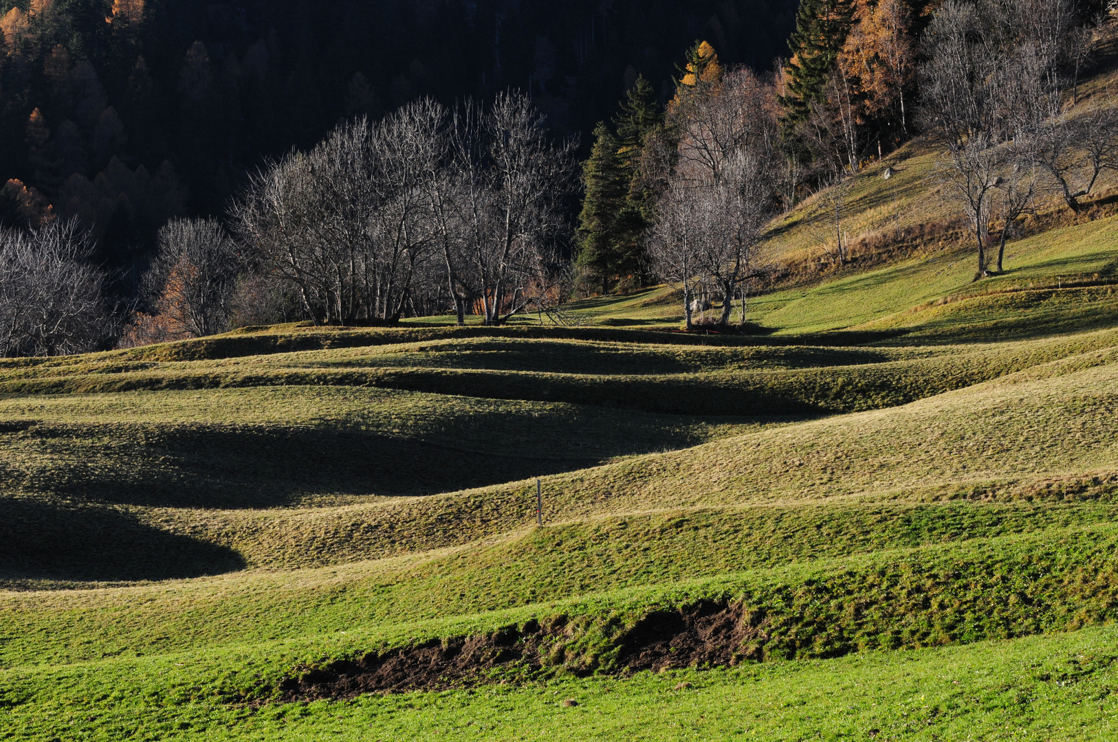 Die langen Schatten des Herbst