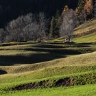 Die langen Schatten des Herbst