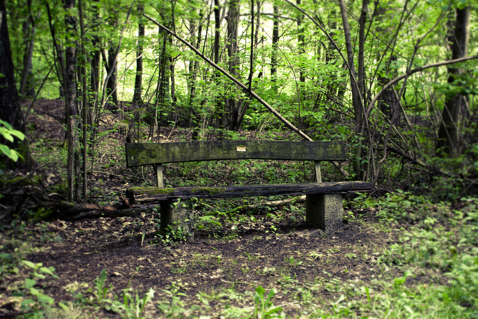 Die langsame Zerstörung der Zeit + Natur