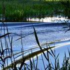 die Lanke in Schollene