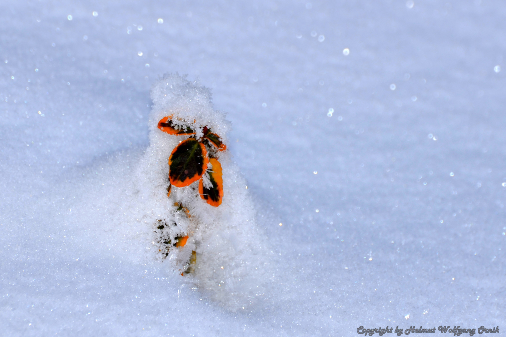 Die Last des Winters