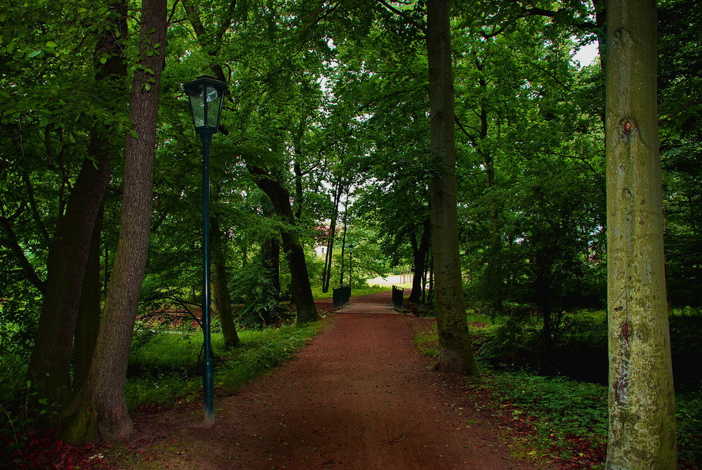 Die Laterne am Waldweg