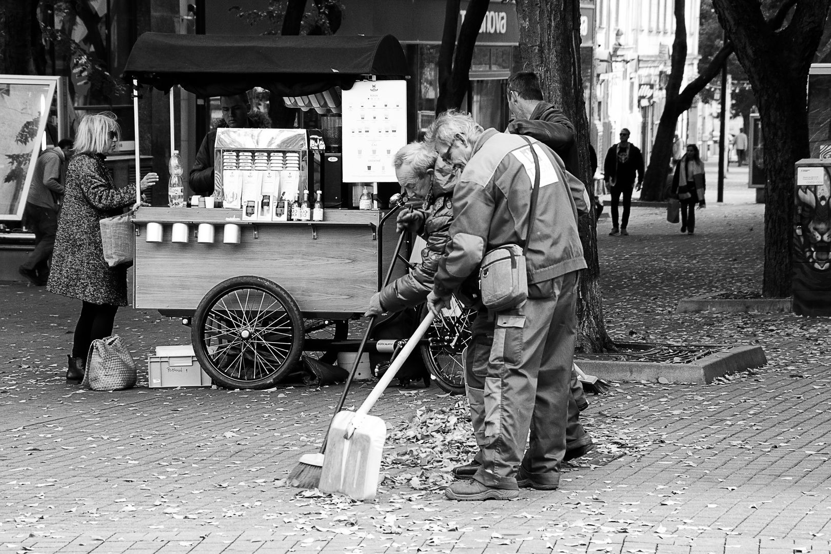 Die Laubschaufler - Bratislava