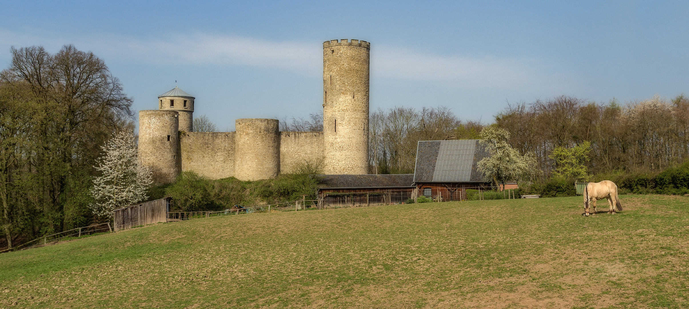 Die Laufenburg 1