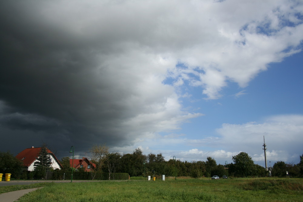 Die Launen der Natur (unbearbeitet)