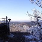 Die Lausche im Zittauer Gebirge