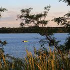 die Lausitz im Sommer