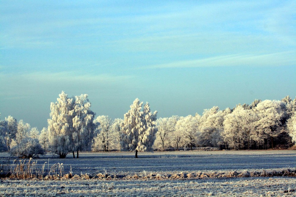 Die Lausitz im Winter