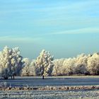 Die Lausitz im Winter