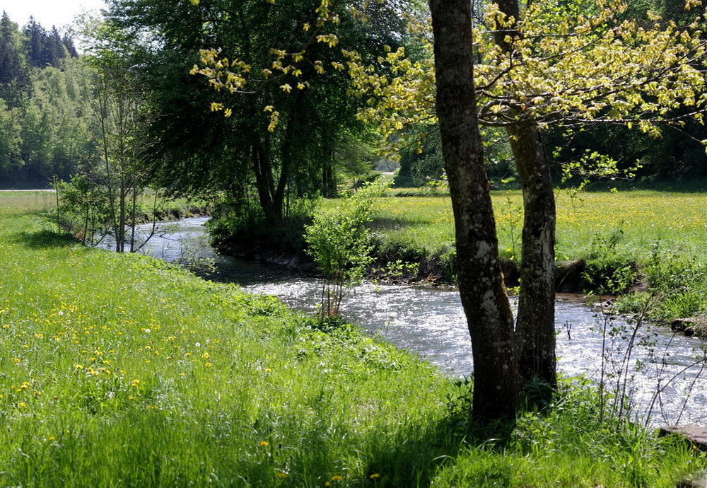 Die Lauter im Lautertal