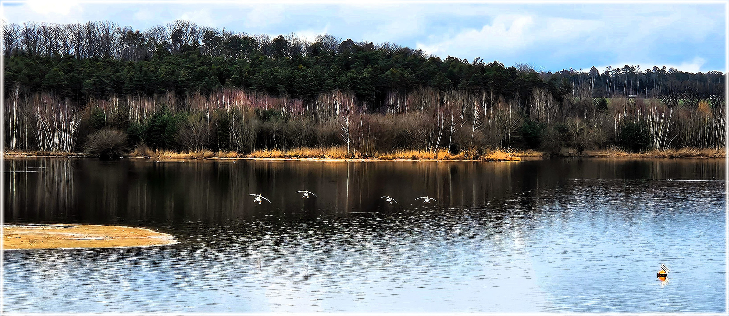 Die lautstarken Vier vom Rothsee