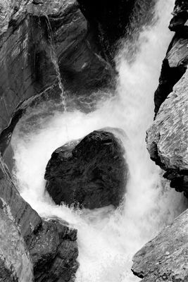 Die Lebendige Kraft des Wassers