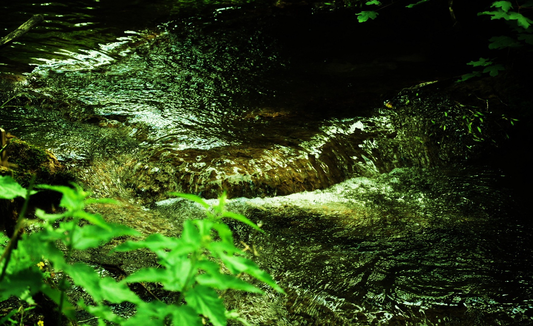 ...die Lebendigkeit des Wassers