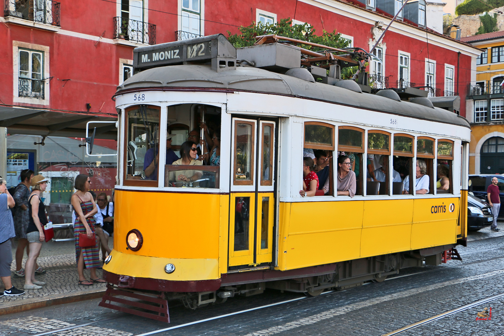 Die lebensfrohe Tram-Führerin