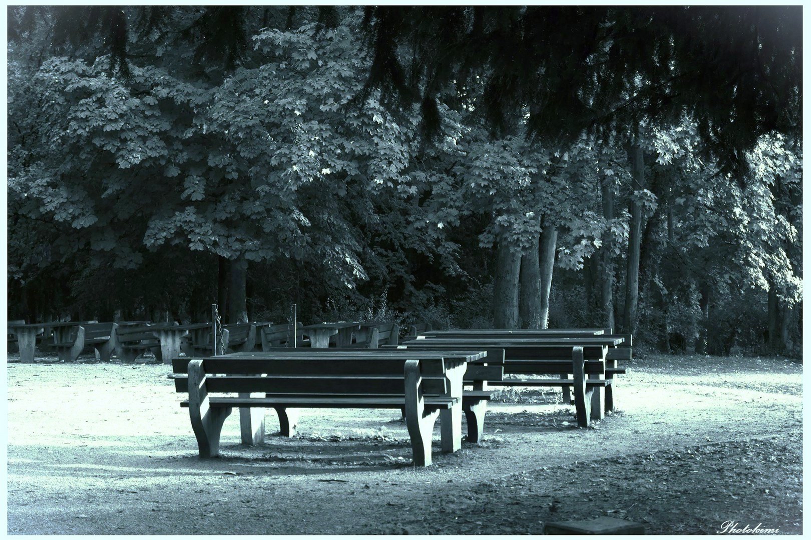 Die leeren Bänke in der Sonne