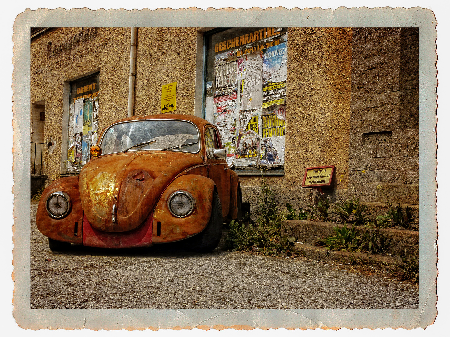 Die Legende - Der VW Käfer Foto & Bild | autos & zweiräder ...