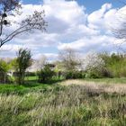 Die Leichtigkeit des Frühlings in der Natur