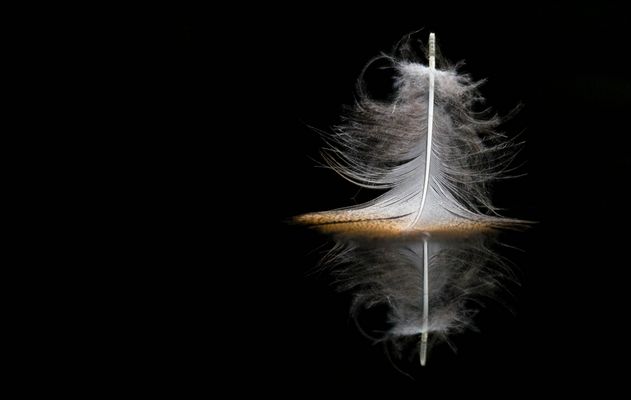 * Die Leichtigkeit des Seins *