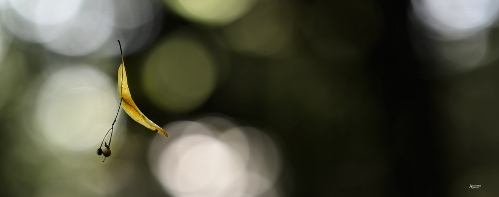 Die Leichtigkeit des Seins