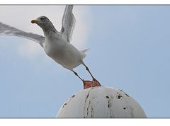 Die Leichtigkeit des Seins