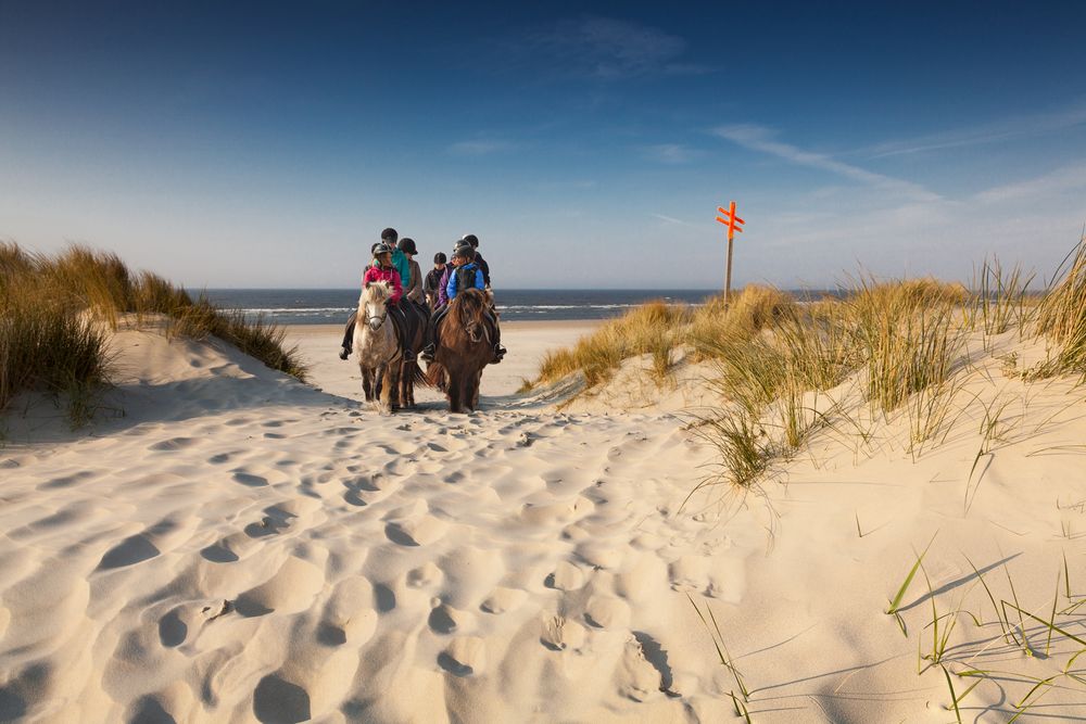 Die Leidenschaft am Meer